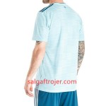 Nordirland Fodboldtrøjer Udebanesæt 2018